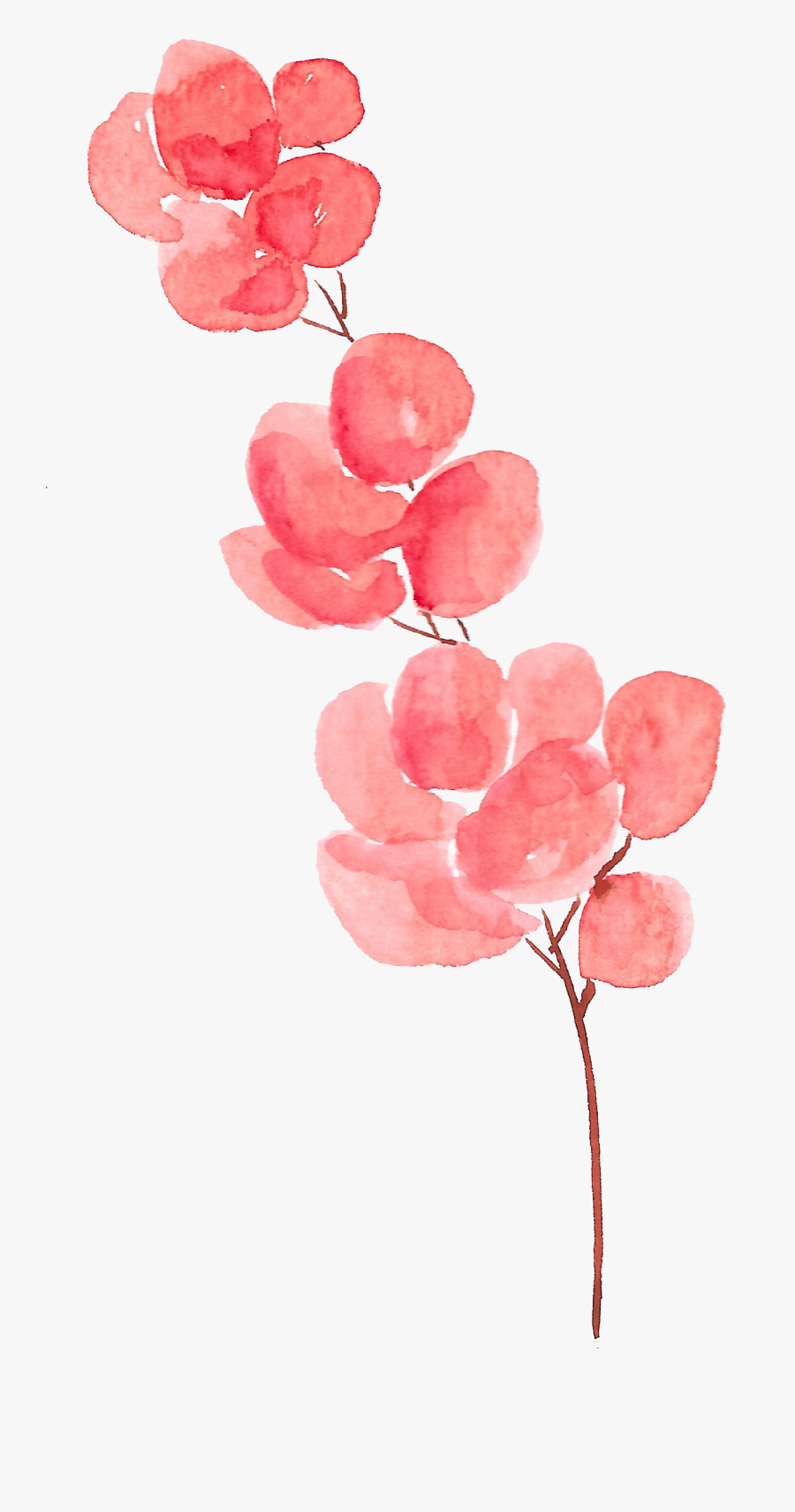 Petal Flower Watercolor Painting - Transparent Background Watercolor Flower Png, Transparent Clipart
