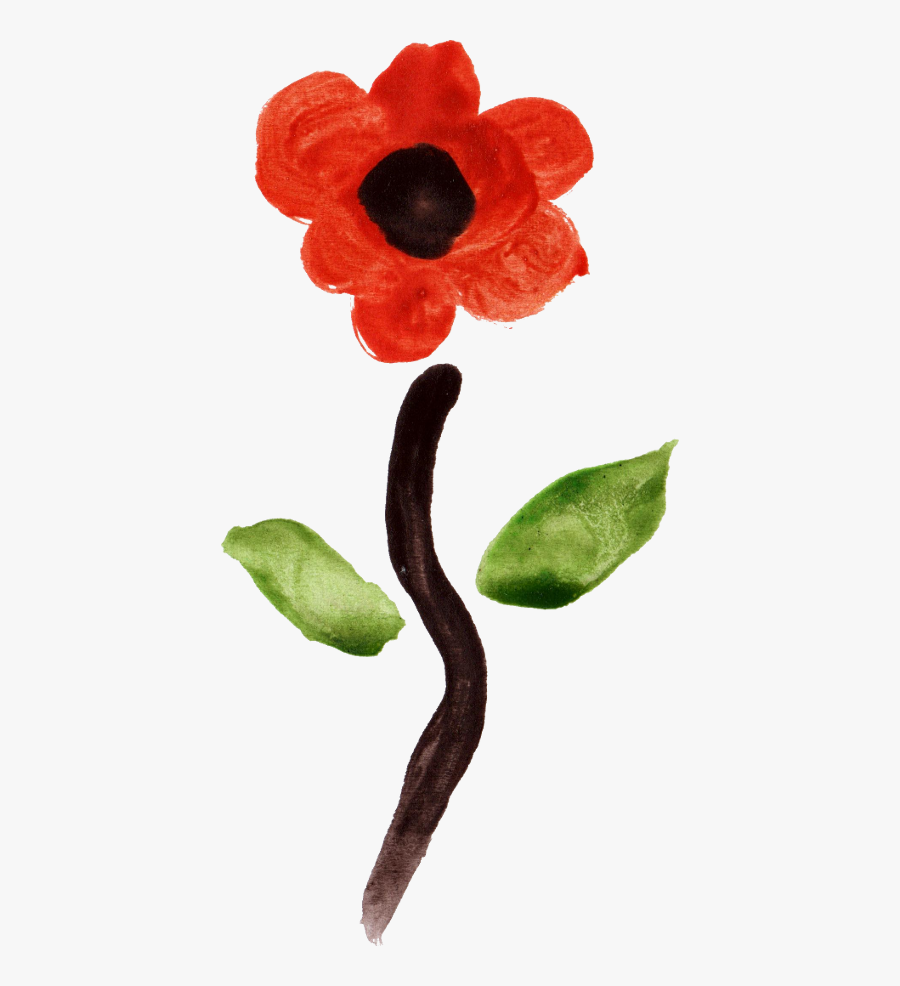 Poppy, Transparent Clipart