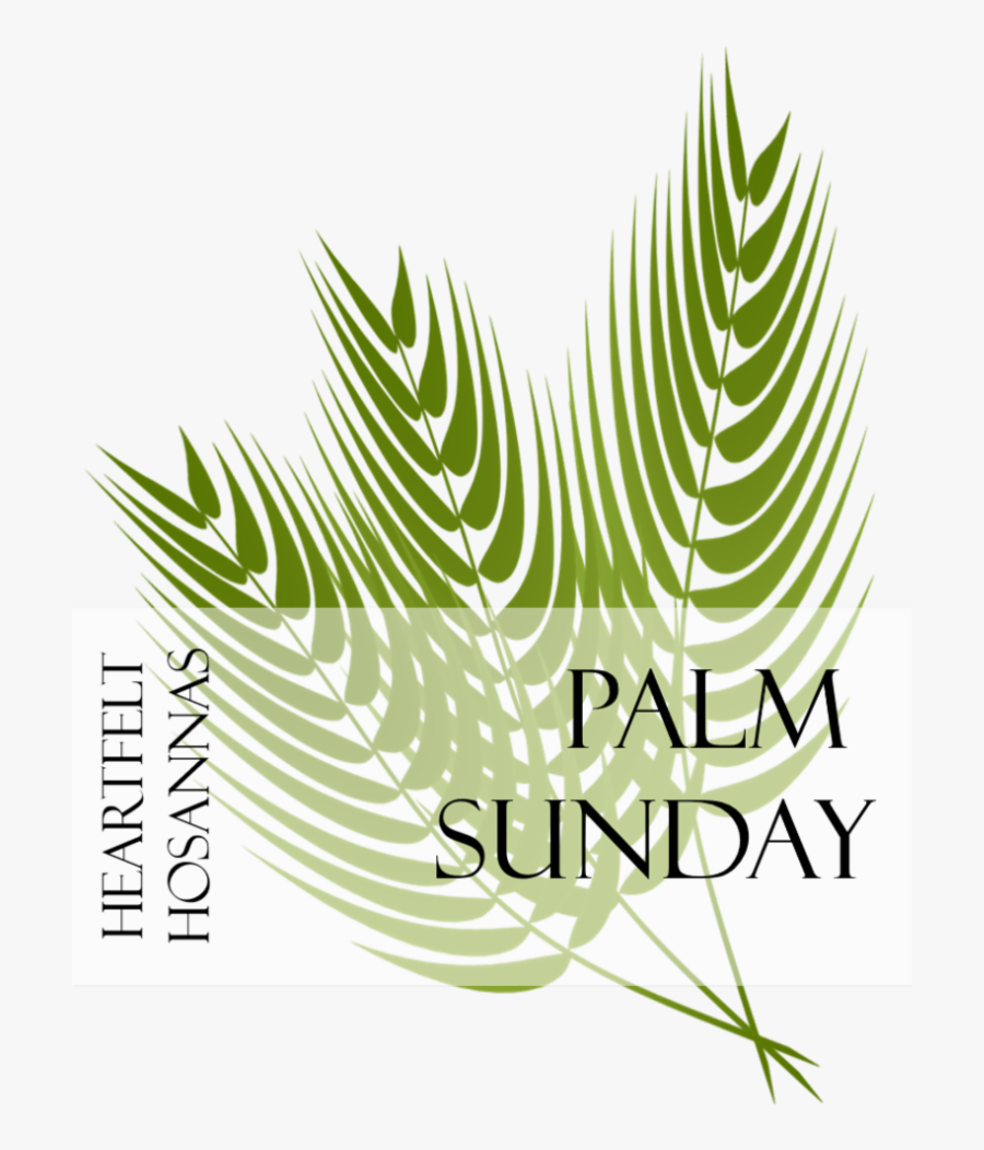 Make Today Count, Transparent Clipart