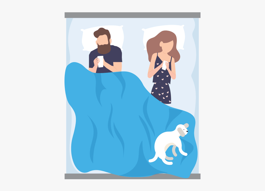 Cal King - Illustration, Transparent Clipart