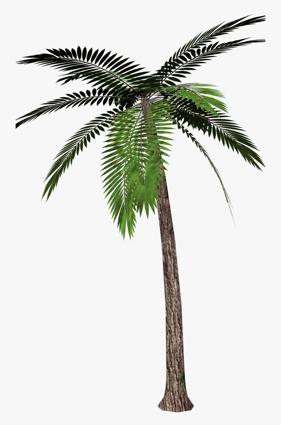 Yükle Traditional Glass Blunt Chillum Slider Clipart - Palm Tree Transparent Background, Transparent Clipart