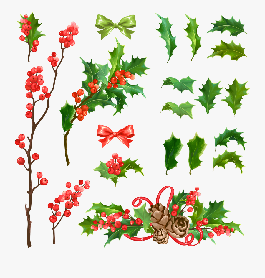 Twig Vector Conifer - Fetes De Fin D Année Houx, Transparent Clipart