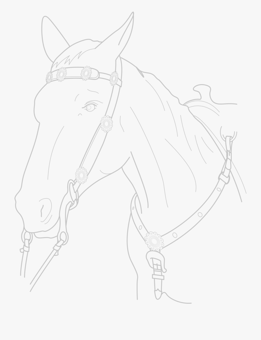 Mane, Transparent Clipart