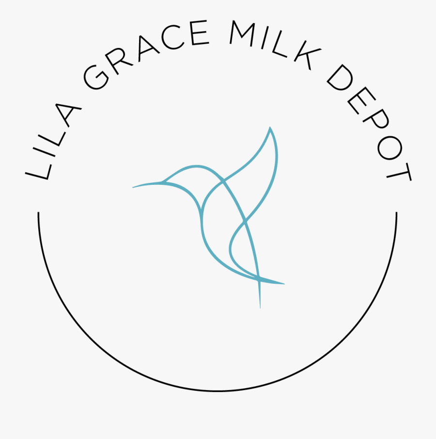 Circle, Transparent Clipart