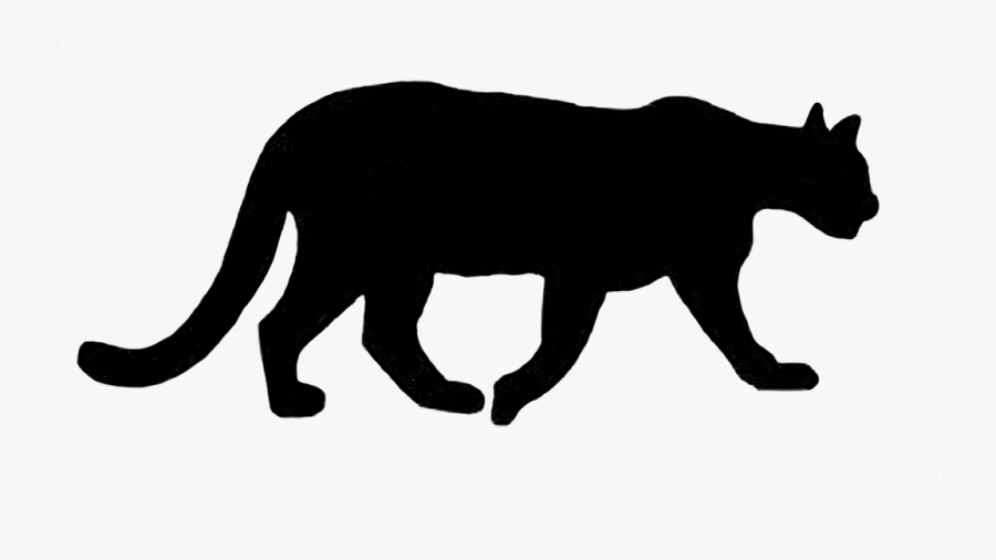 Lion, Transparent Clipart