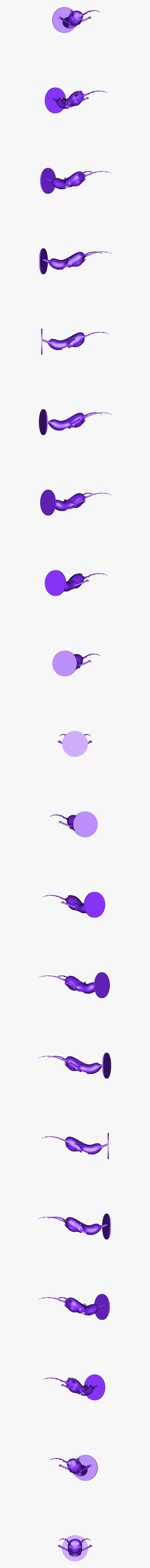 Clip Art, Transparent Clipart