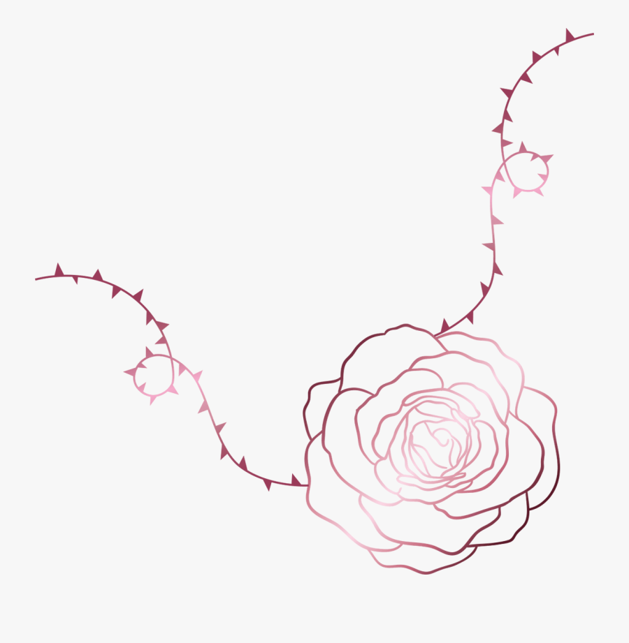 Like A Rose Growing Amongst The Thorns, These Brushes - Rose Bush Thorns Art, Transparent Clipart