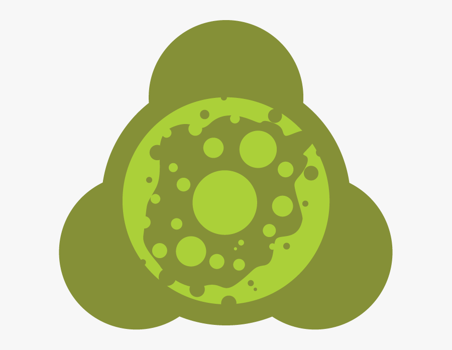 Circle, Transparent Clipart