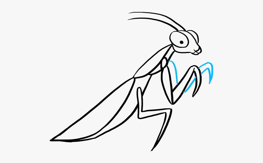 How To Draw Praying Mantis, Transparent Clipart