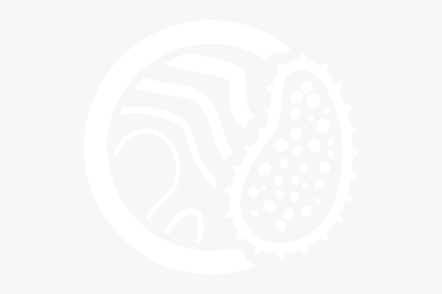 Plankton Front Strength - Illustration, Transparent Clipart