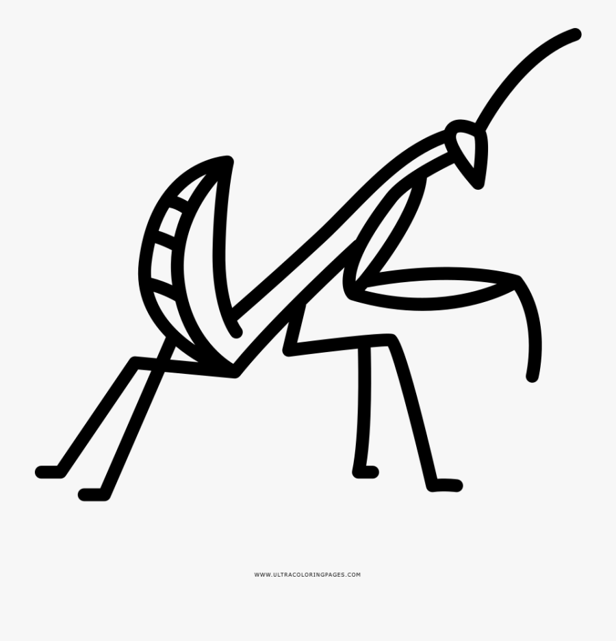 Mantis Coloring Page, Transparent Clipart