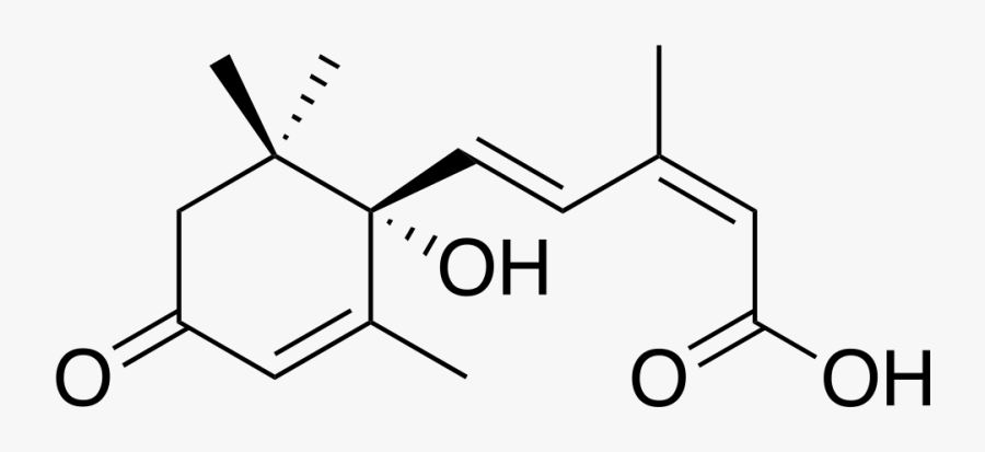 Chemical Structure Of Abscisic Acid, Transparent Clipart