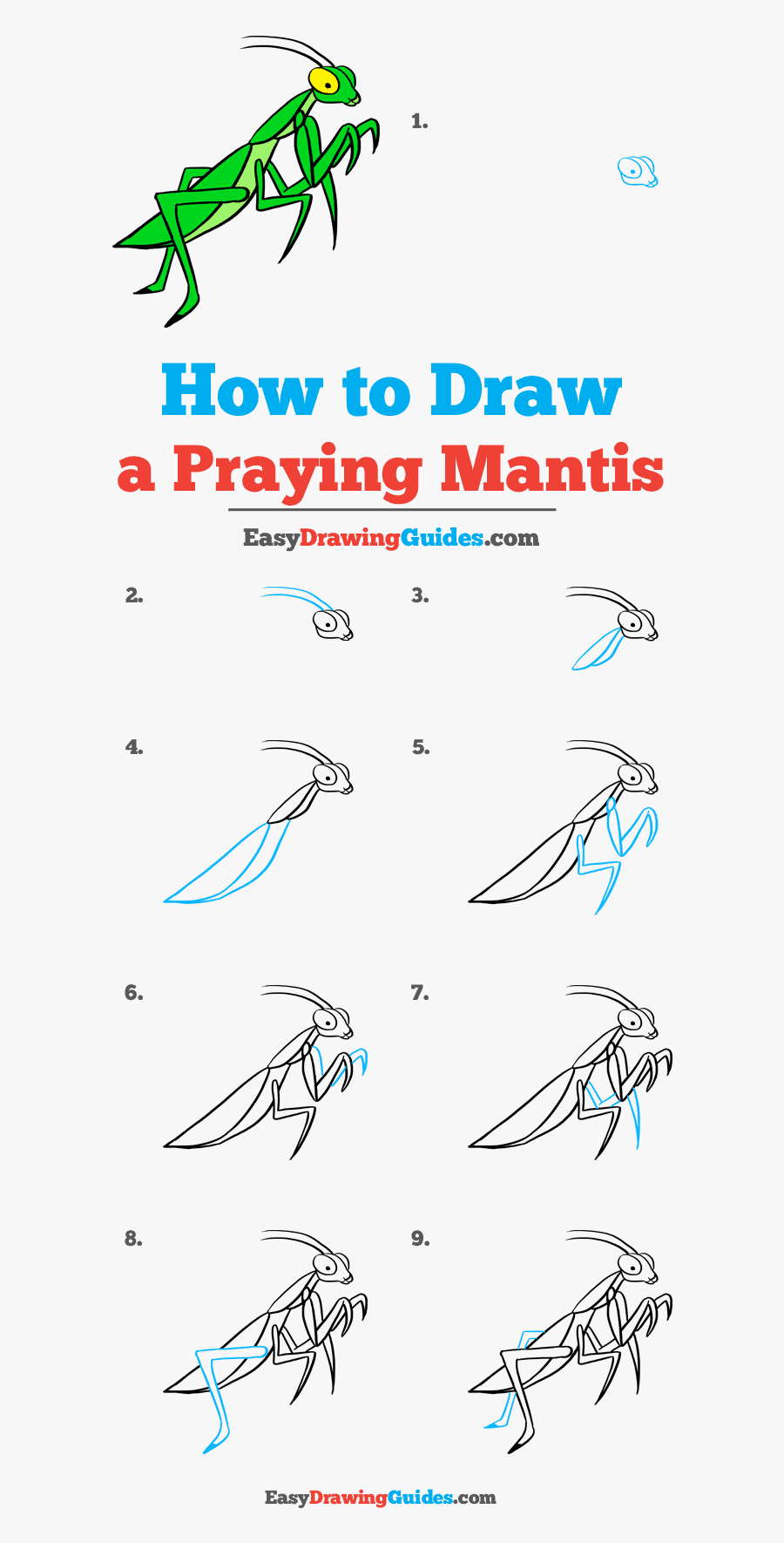 How To Draw Praying Mantis - Black Sox Scandal, Transparent Clipart
