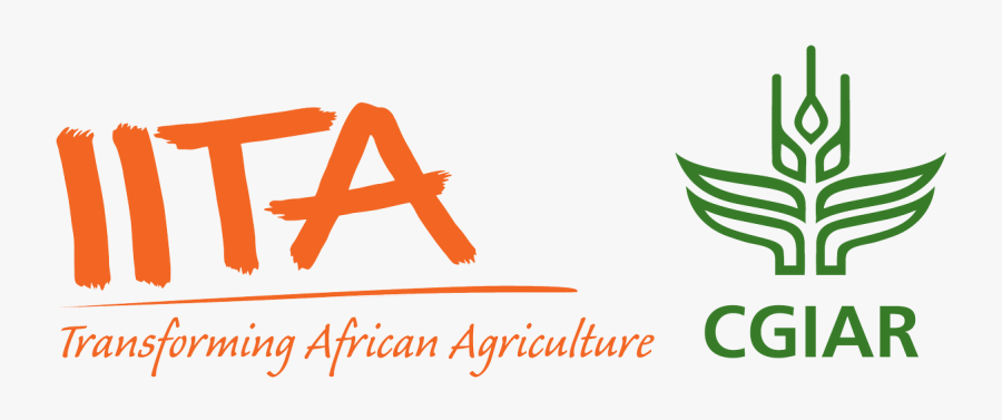 Iita - Iita Logo Png, Transparent Clipart