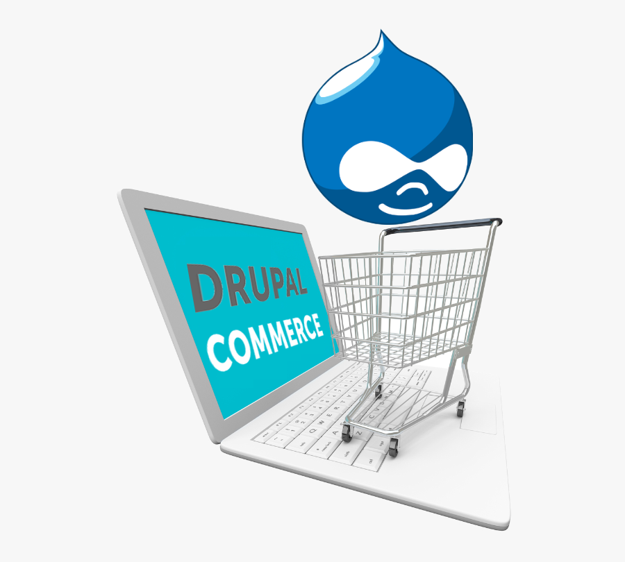 Drupal, Transparent Clipart