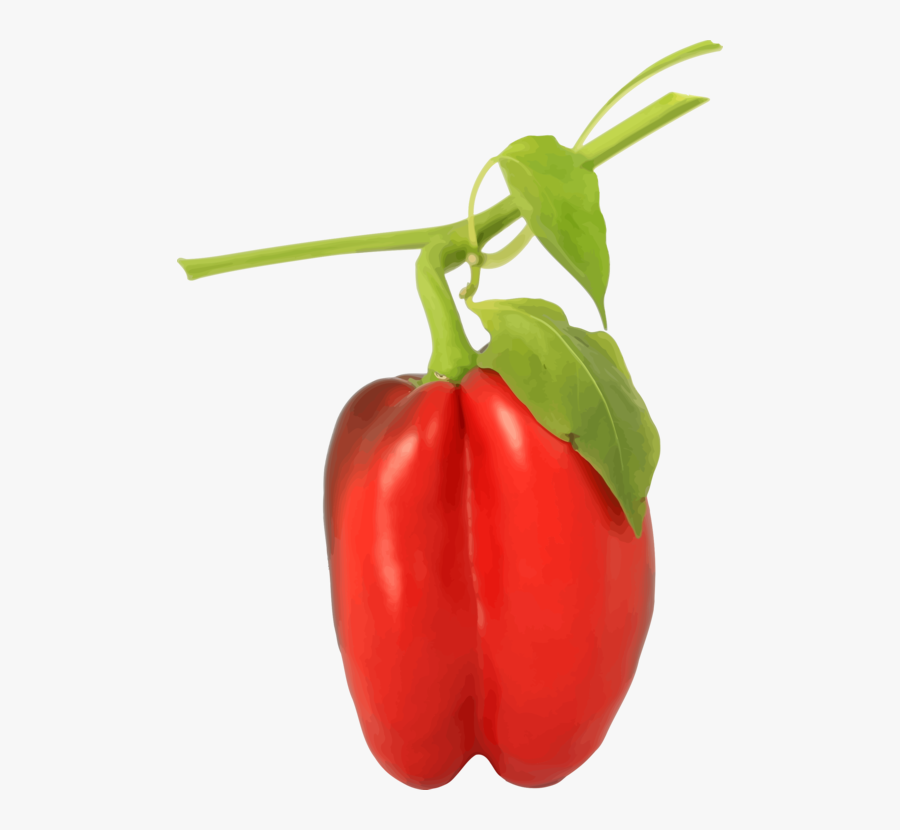 Peppers Clipart Habanero - Bell Pepper Plant Png, Transparent Clipart