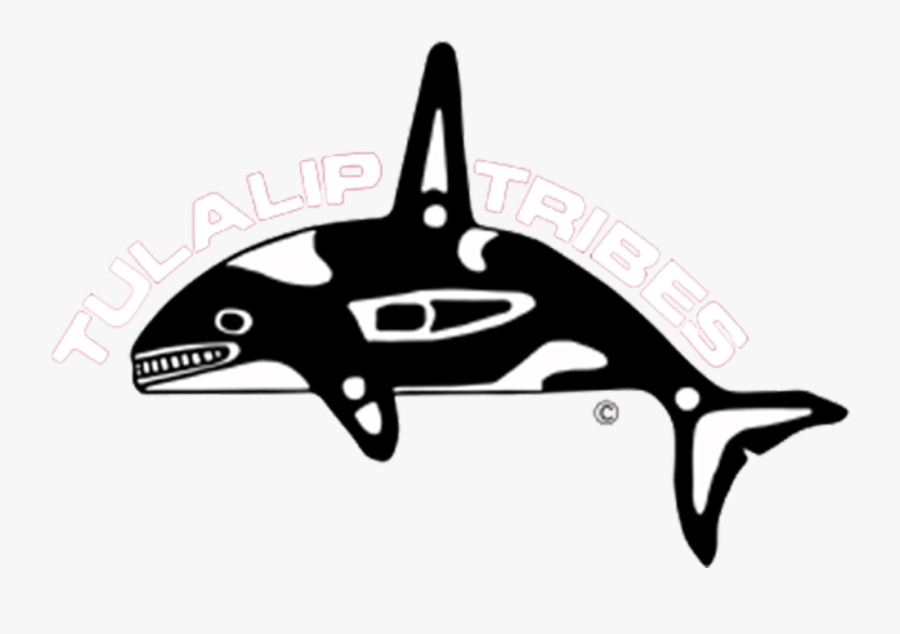 Orca Clipart Tribal - Tulalip Tribes, Transparent Clipart