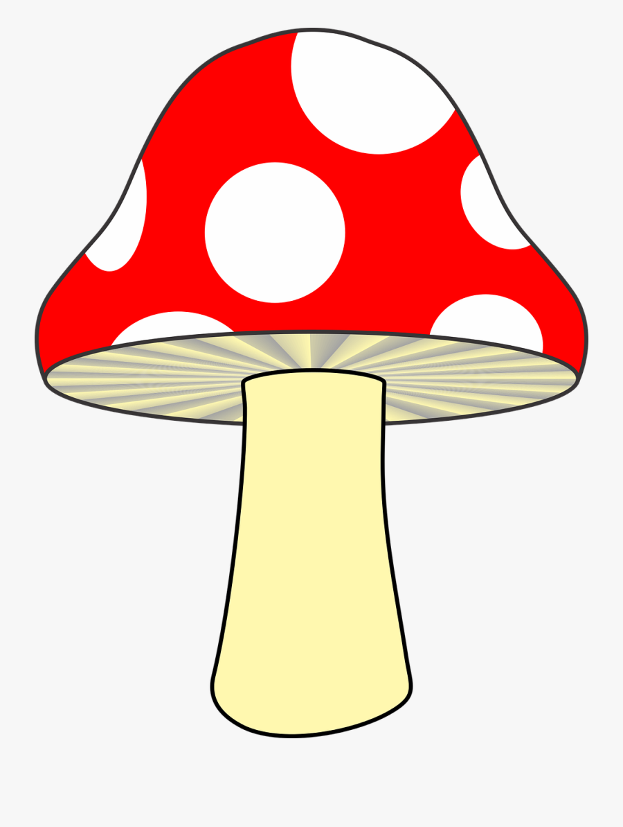 Vector Mushroom Fungi - Gambar Jamur Kartun, Transparent Clipart