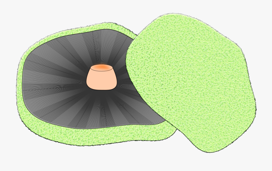 Portobello Mushroom - Illustration, Transparent Clipart
