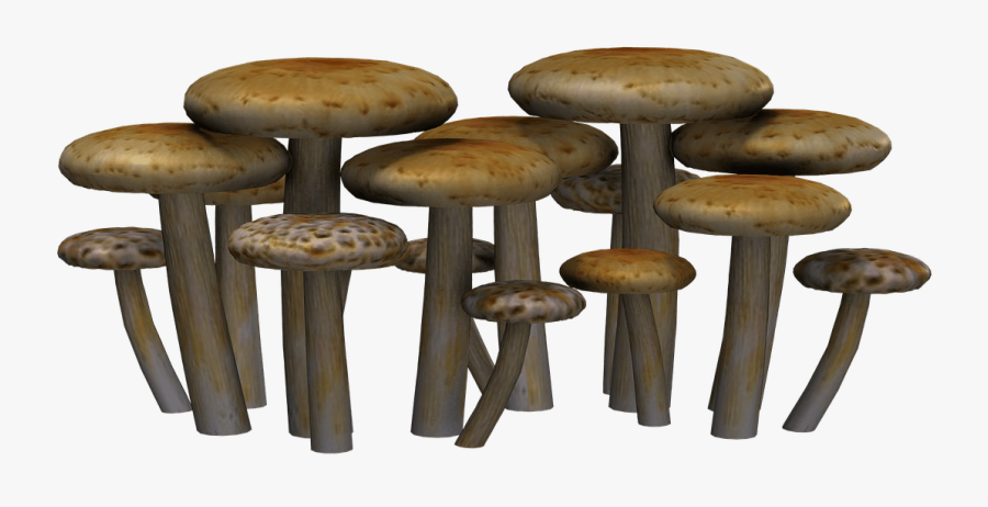 Mushrooms Flat Heads Clip Arts - Mushroom Png, Transparent Clipart