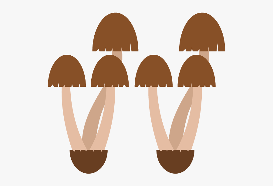 Illustration, Transparent Clipart