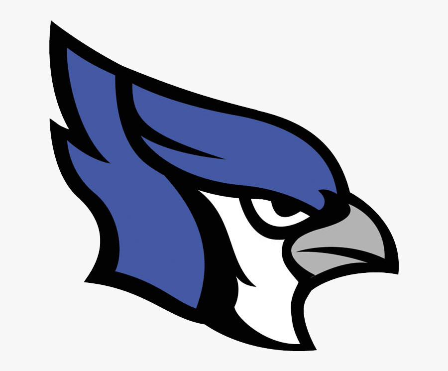 Transparent Blue Jay Png - Marshfield Bluejays, Transparent Clipart