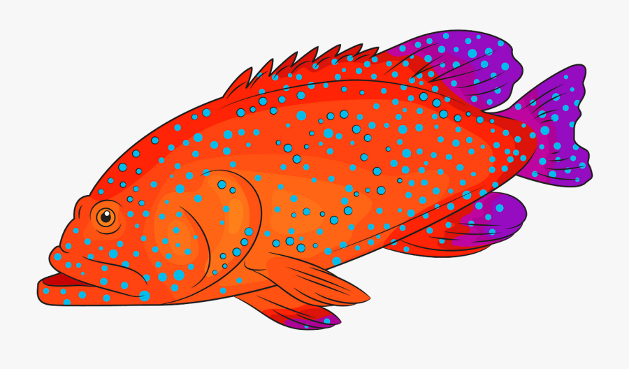 Coral Reef Fish, Transparent Clipart