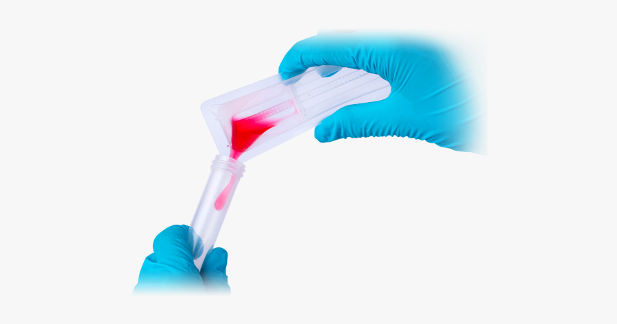 Flyswatter, Transparent Clipart