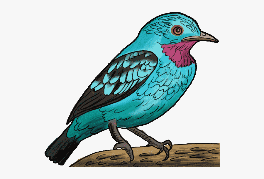 Bluejay Drawing Step By - Mountain Bluebird, Transparent Clipart