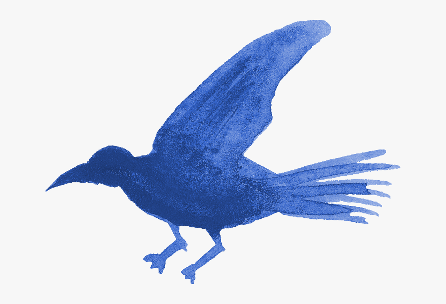 Portable Network Graphics Bird Image Silhouette Photography - Blue Jay, Transparent Clipart
