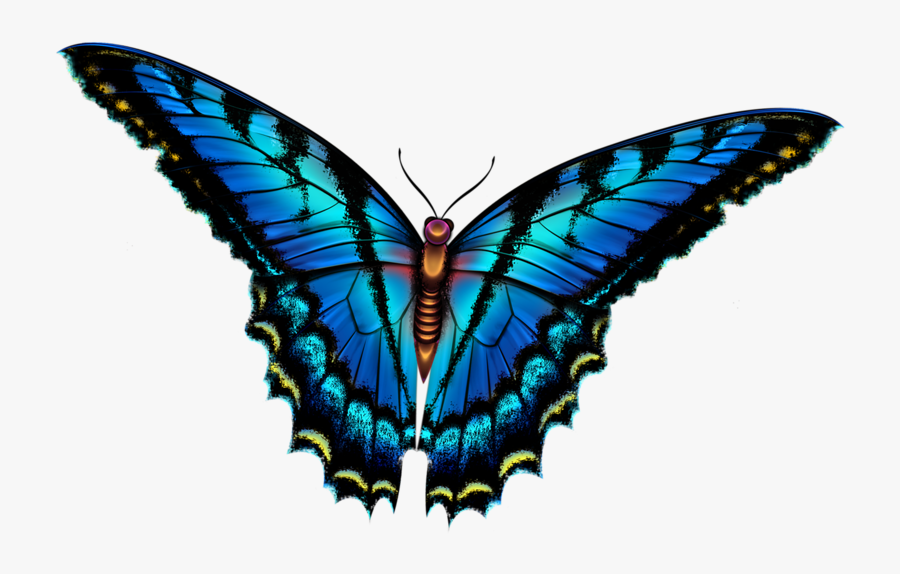 Papilio Machaon, Transparent Clipart