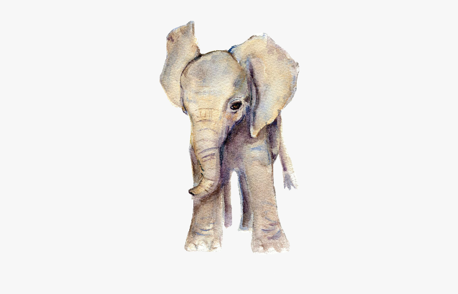 Clip Art Showcasing Some Surfer Style - Baby Animals Watercolor Png, Transparent Clipart