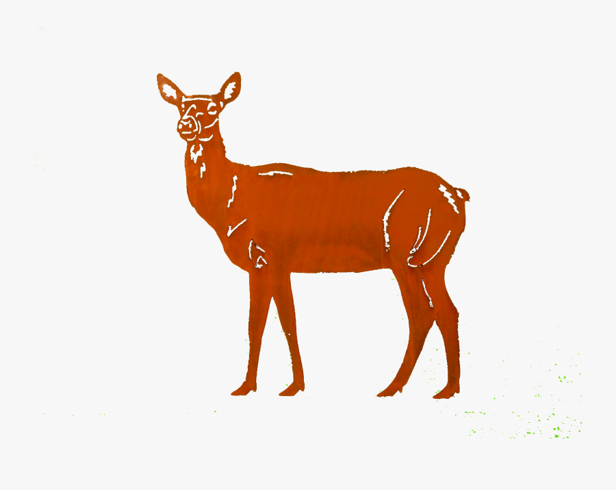 Doe Small Larger Image - White-tailed Deer, Transparent Clipart