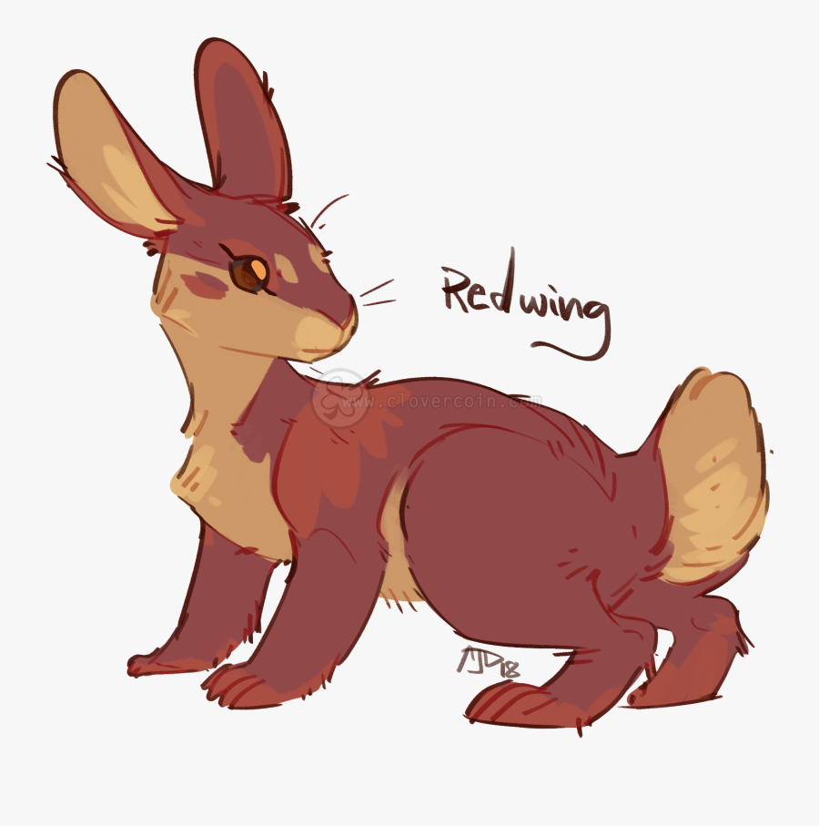 Kangaroo, Transparent Clipart