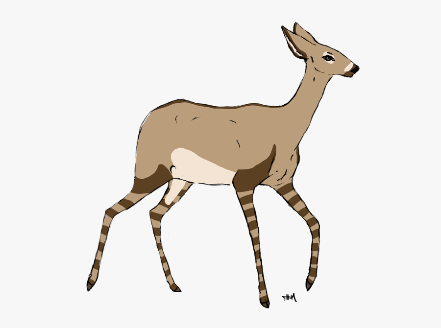 Roe Deer, Transparent Clipart
