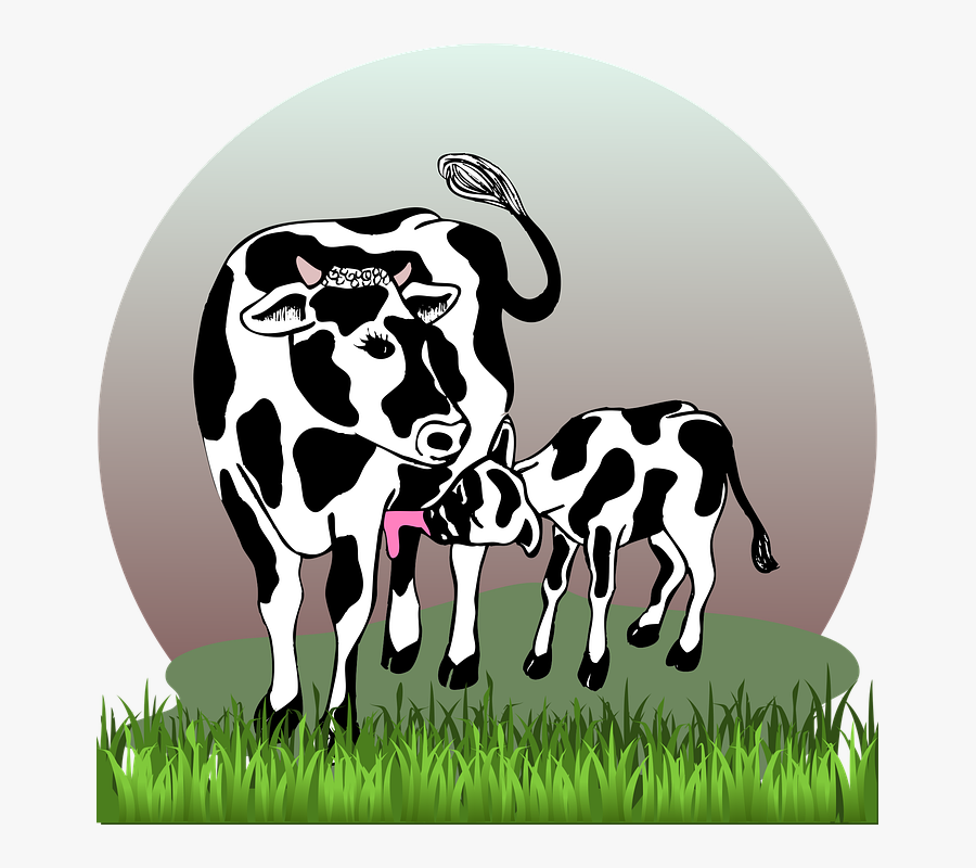 Cow With Calf, Cow, Calf, Cattle, Farm, Agriculture - Cow And Calf Clipart, Transparent Clipart