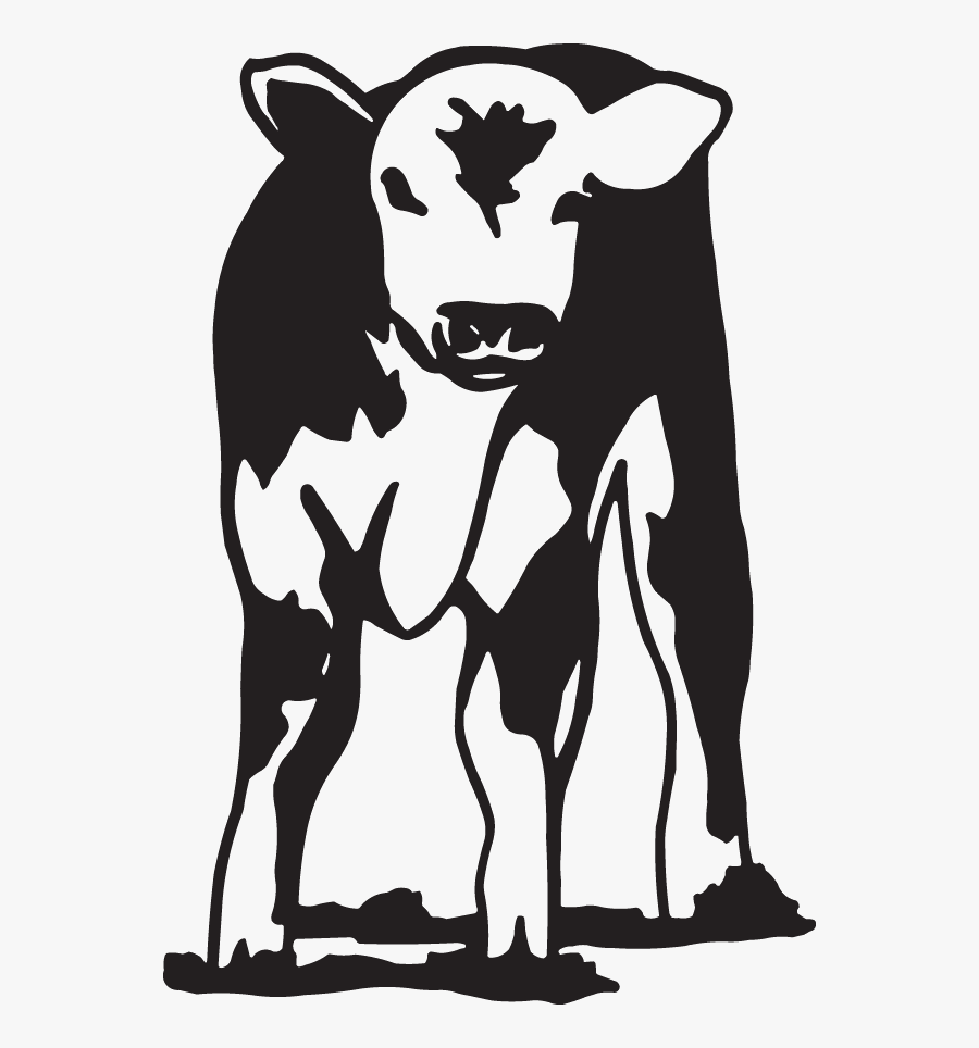 Hereford Cattle Decal, Transparent Clipart