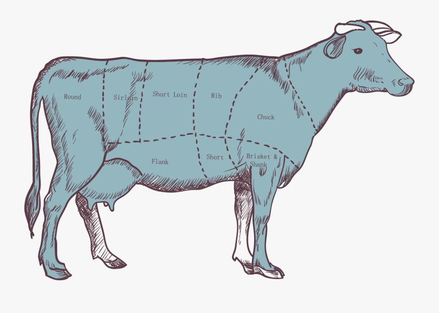 Beef Vector Goat Meat - Parts Of A Calf, Transparent Clipart