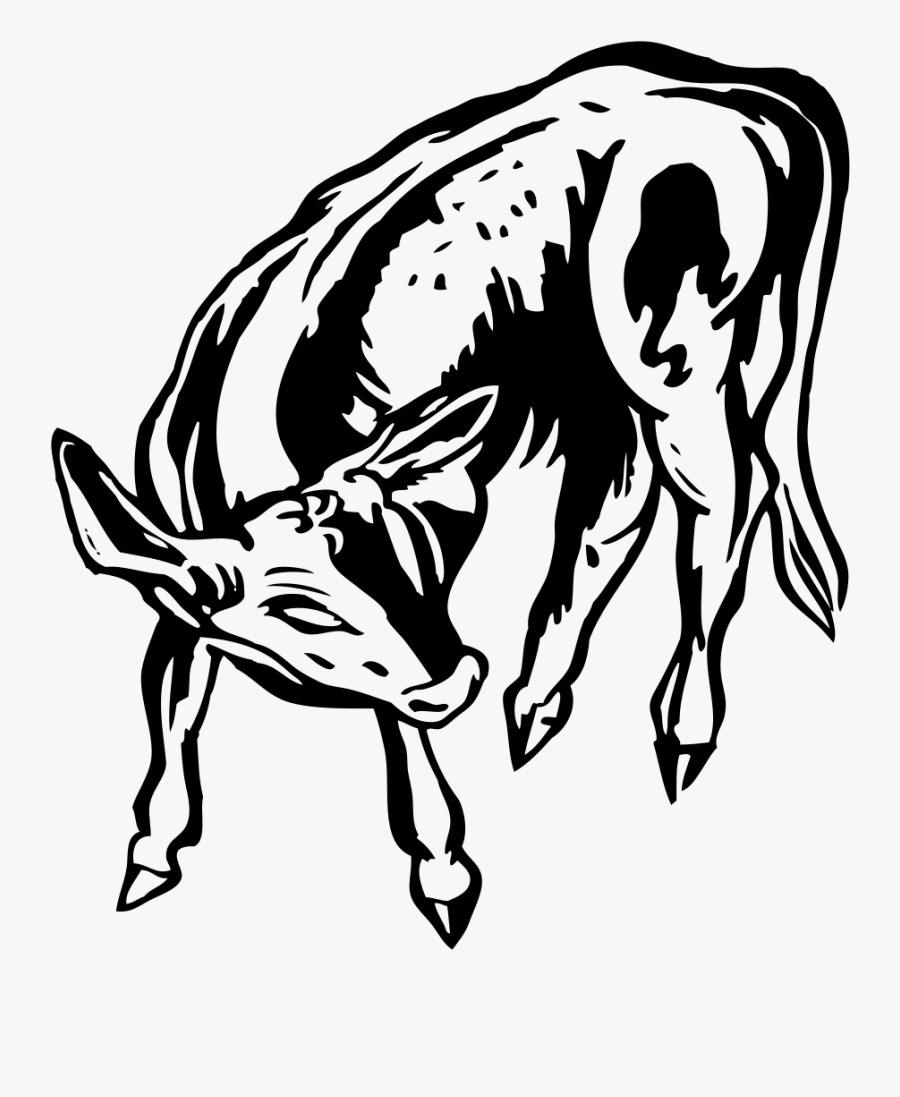 Illustration, Transparent Clipart