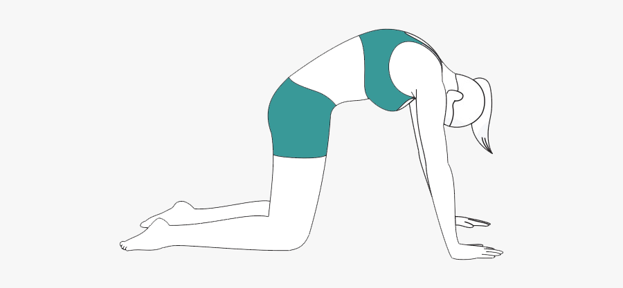 Yoga For Back Pain - Illustration, Transparent Clipart