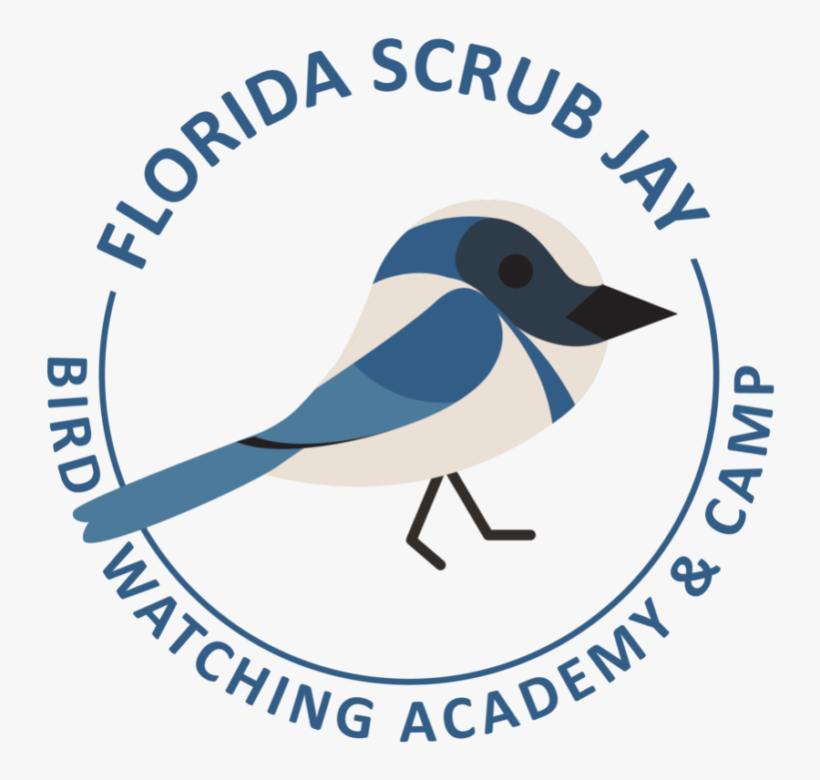 Children Holding Hands, Transparent Clipart