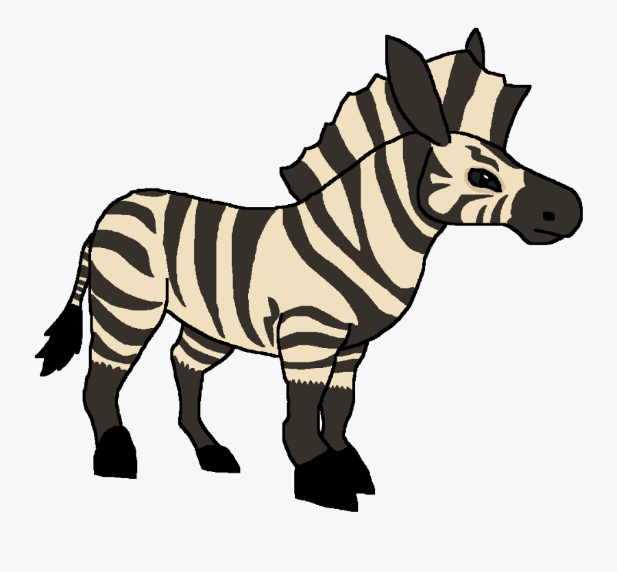 Zebra, Transparent Clipart