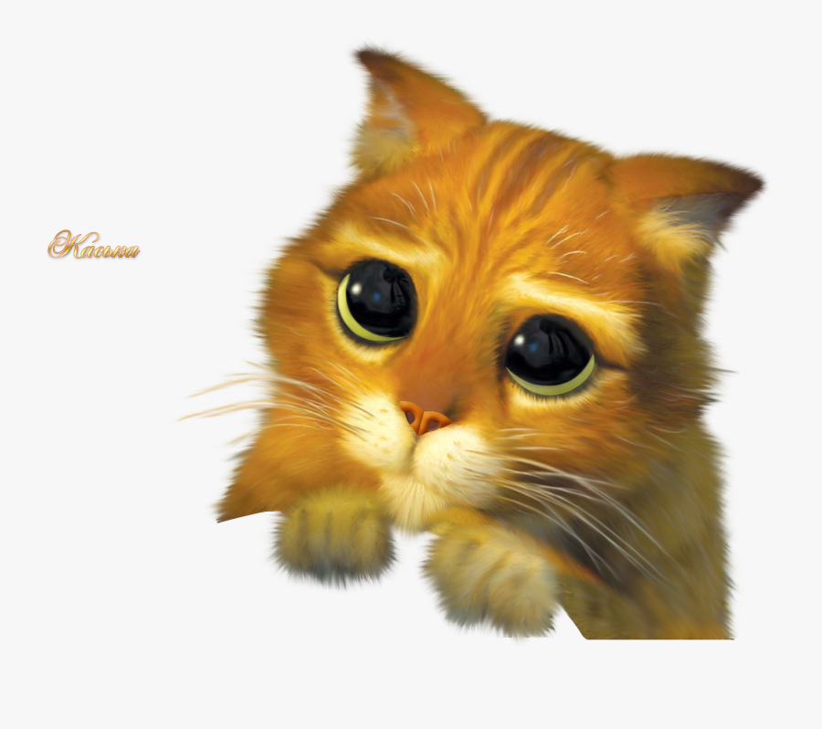 Puss In Boots Cat Donkey Shrek The Musical - Please Share My Post, Transparent Clipart