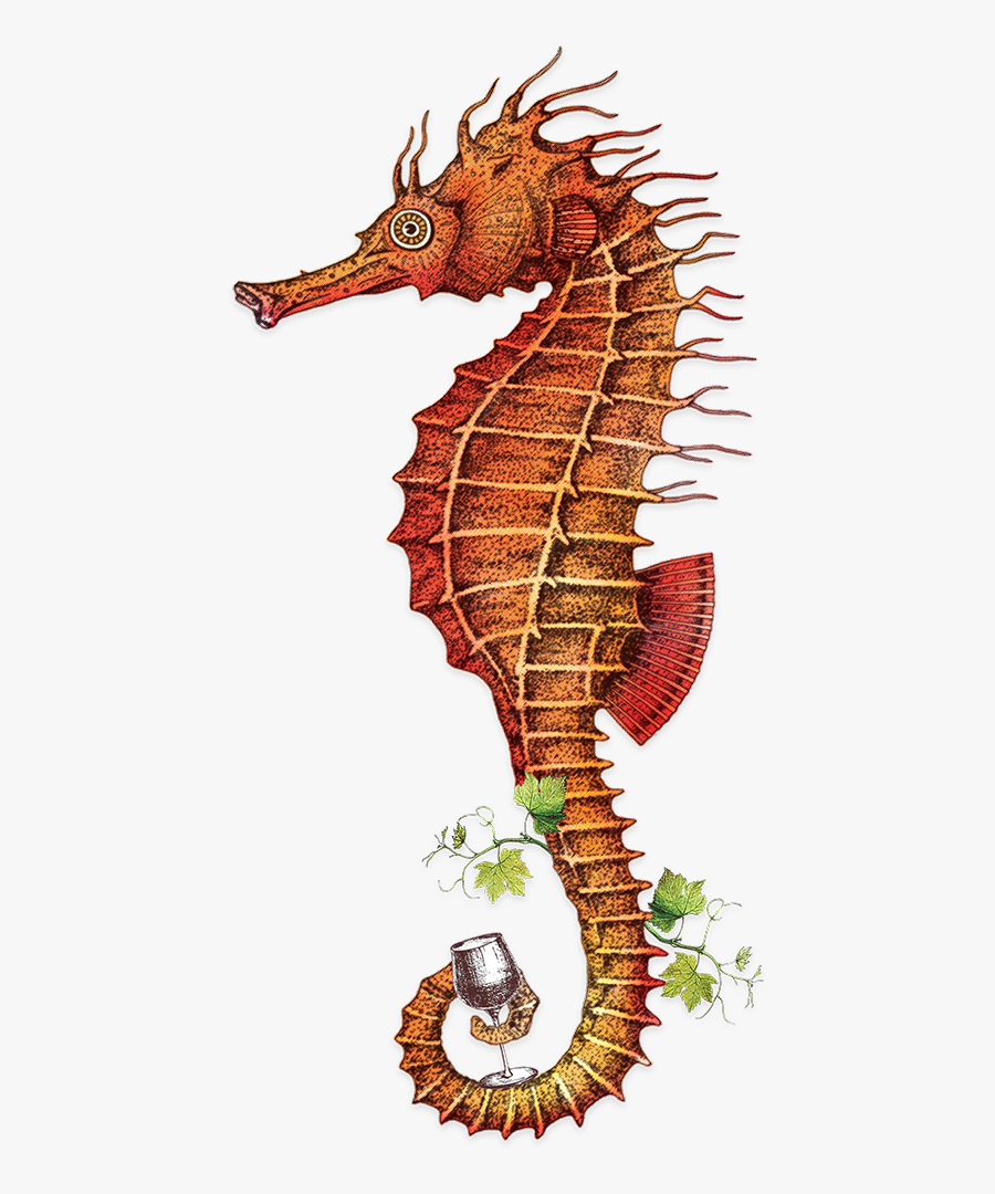 Seahorse Images Clip Art, Transparent Clipart