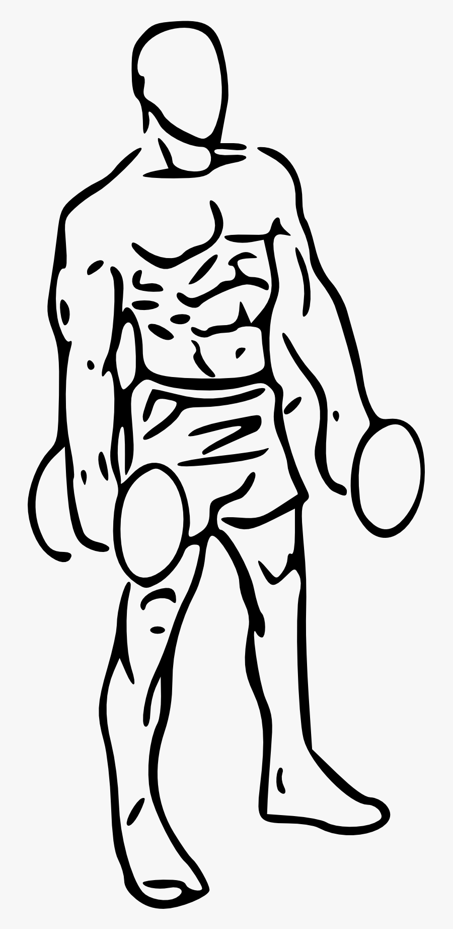 Image Transparent Stock Bicep Drawing Male - Dumbbell Alternate Biceps Curl, Transparent Clipart