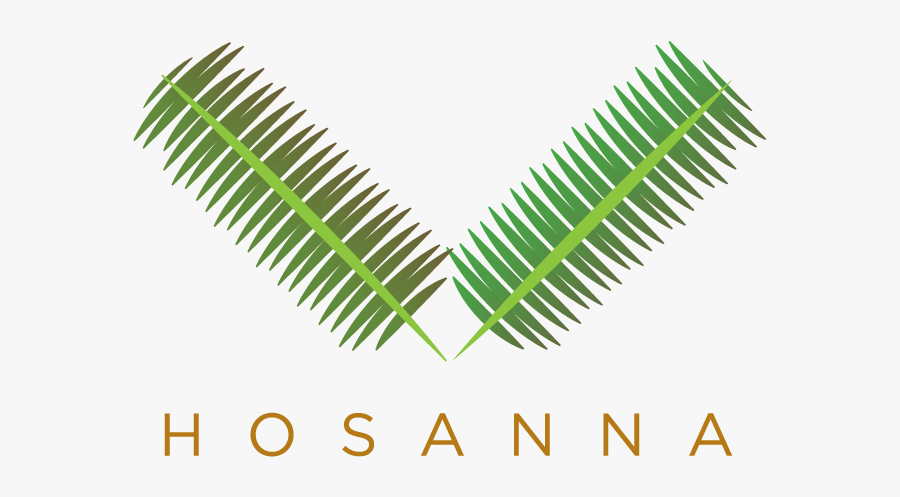 Parallel, Transparent Clipart