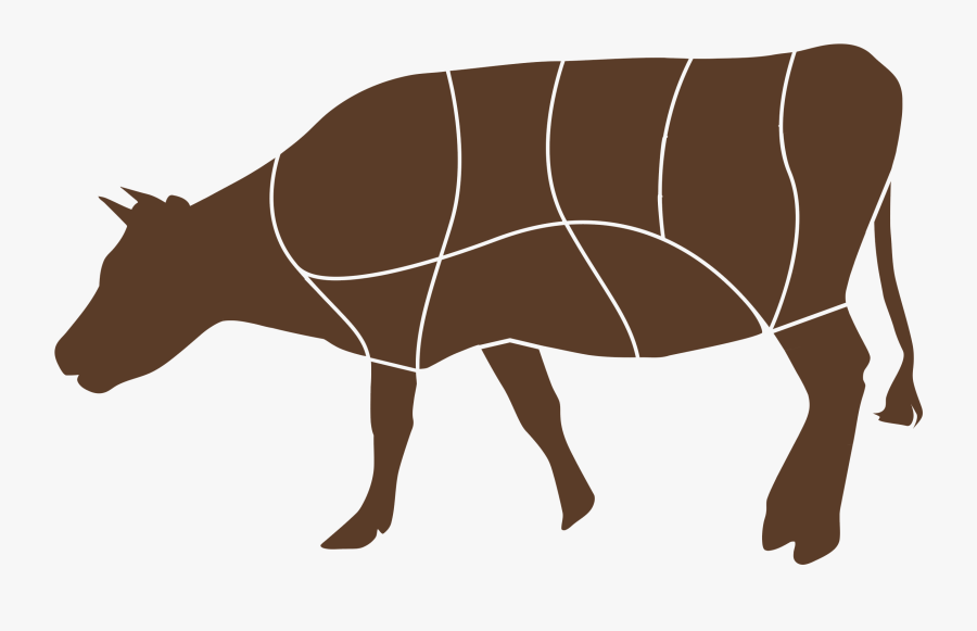 Indian Rhinoceros, Transparent Clipart