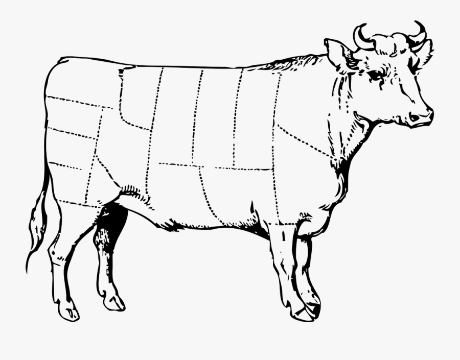 Butcher Diagram - Steer Black And White, Transparent Clipart