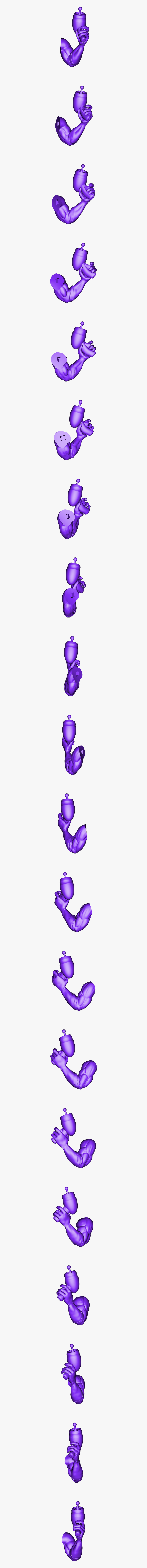 Clip Art, Transparent Clipart