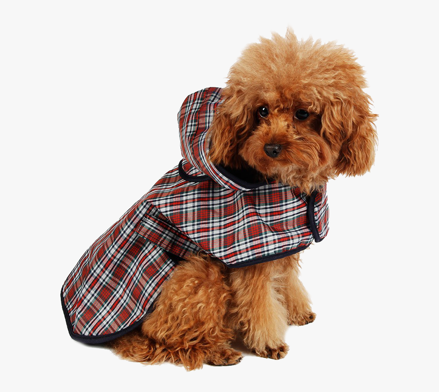 Transparent Doggo Png - Dog Clothes Png Transparent, Transparent Clipart